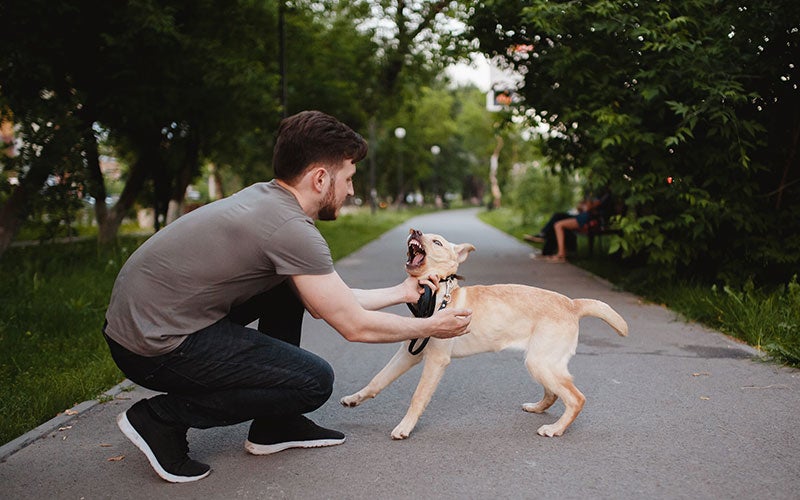 Lininger Injury Lawyers in Roseville CA